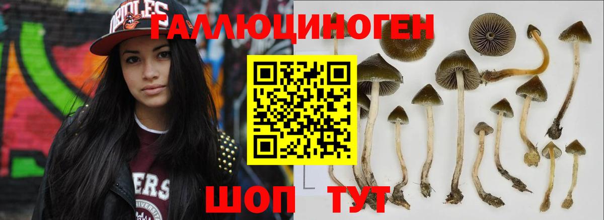Псилоцибиновые грибы ЛСД  Вход с VPN  Железногорск 
